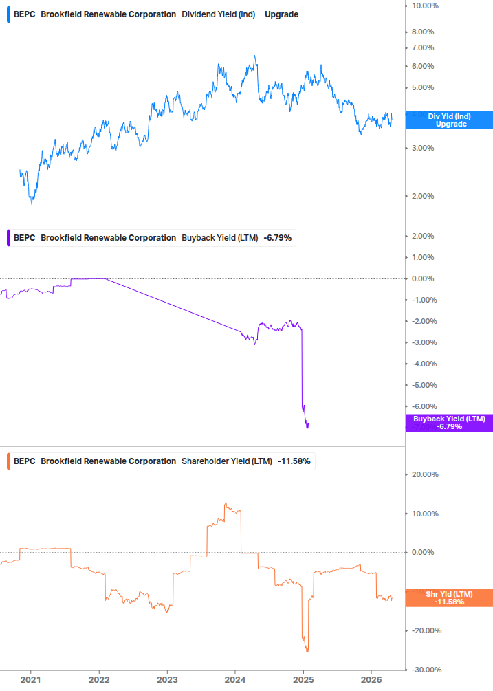 Shareholder Yield Chart