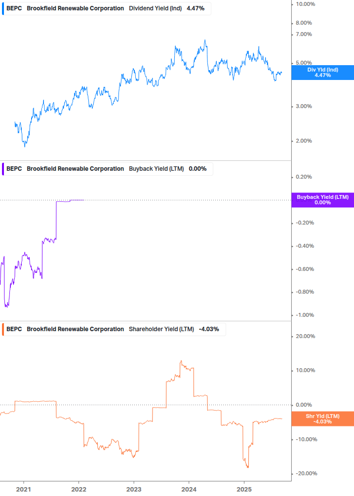 Shareholder Yield Chart