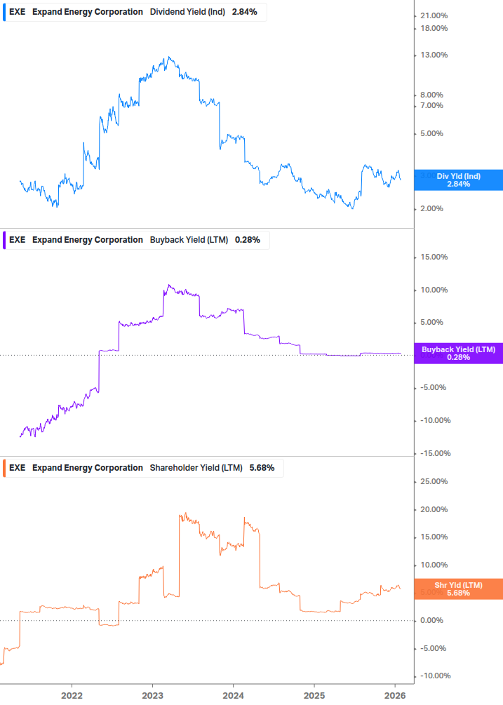 Shareholder Yield Chart