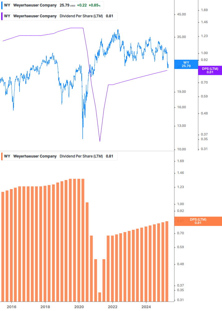 Dividend Growth Chart