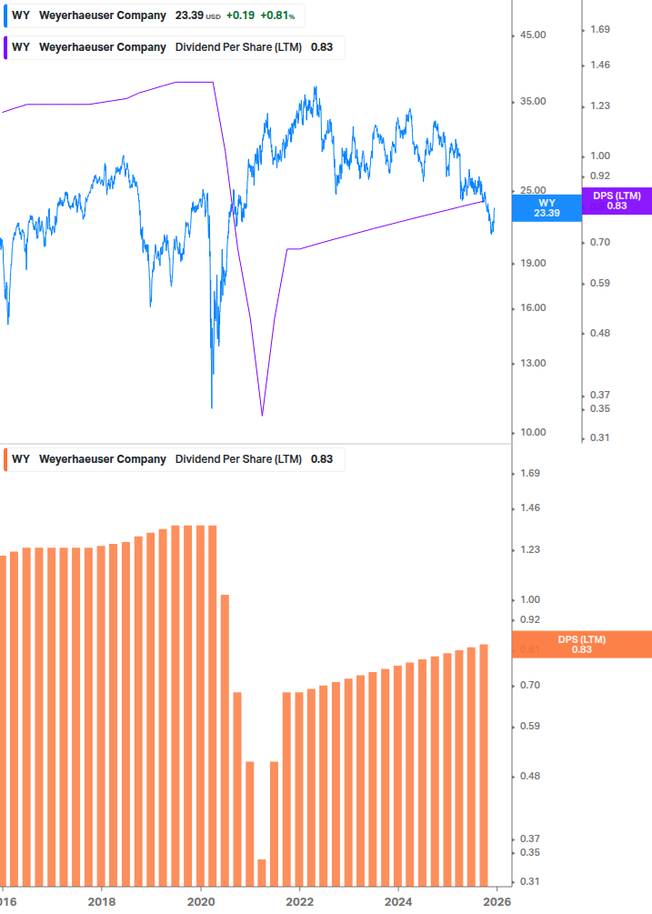 Dividend Growth Chart