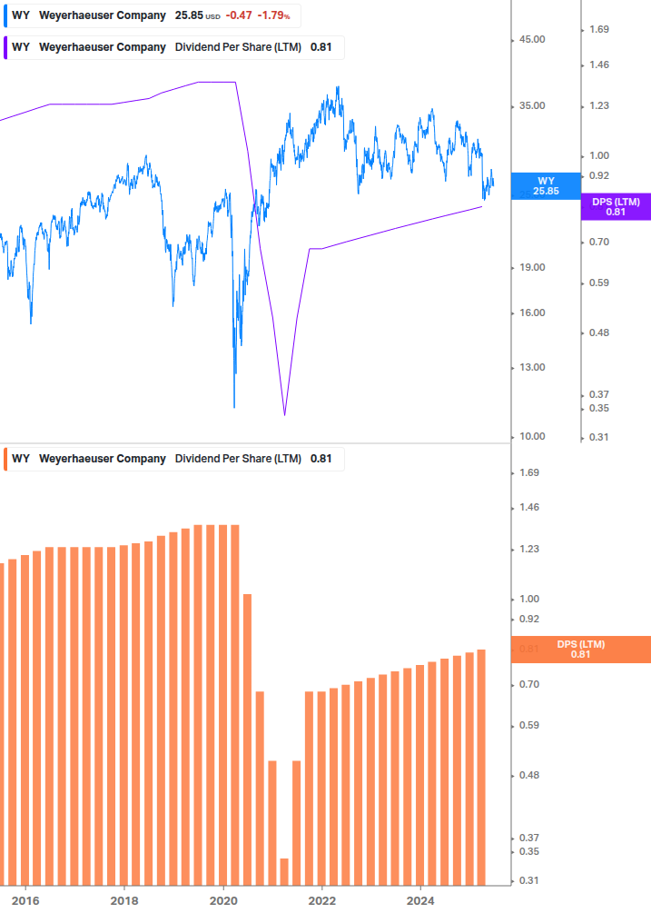Dividend Growth Chart