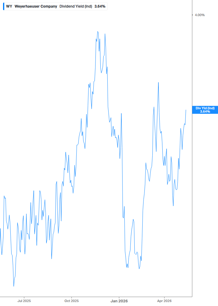 Dividend Yield Chart