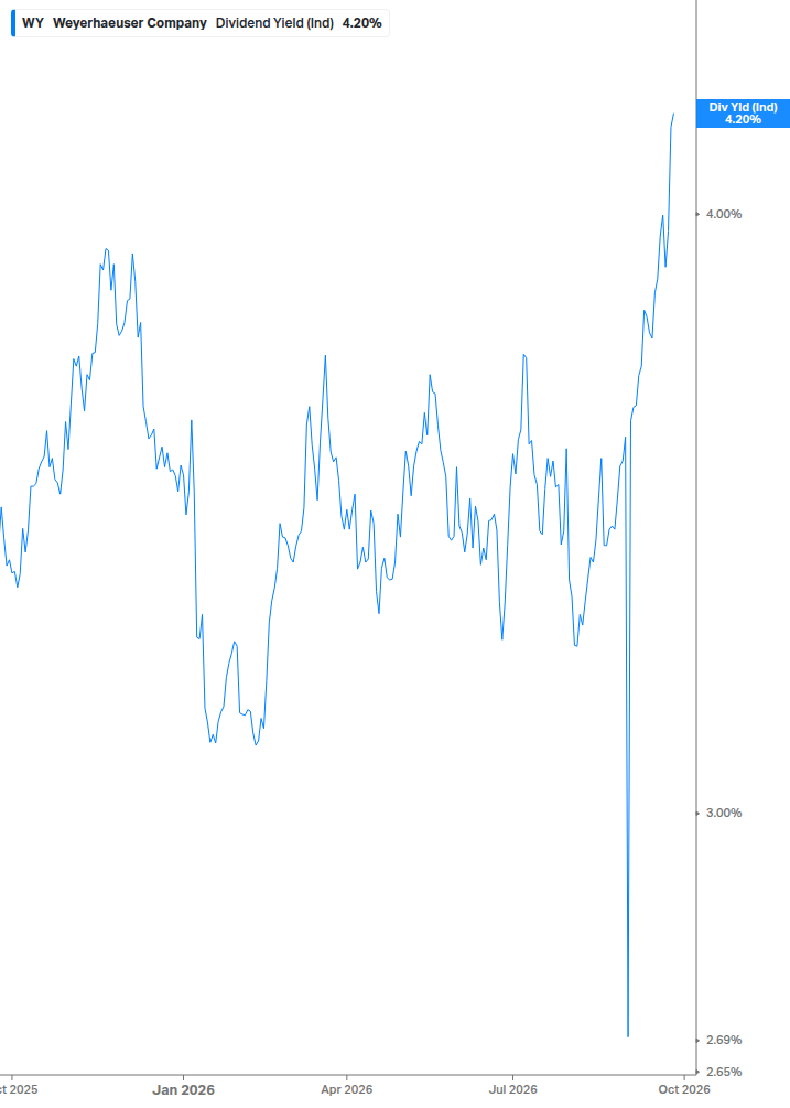 Dividend Yield Chart